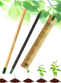 TOHUMLU KALEM MODELLERİ