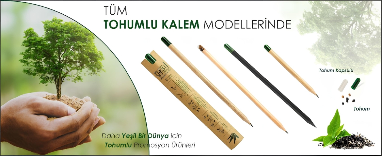 Tohumlu Kalem 