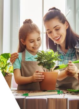 TOHUMLU KALEM MODELLERİ