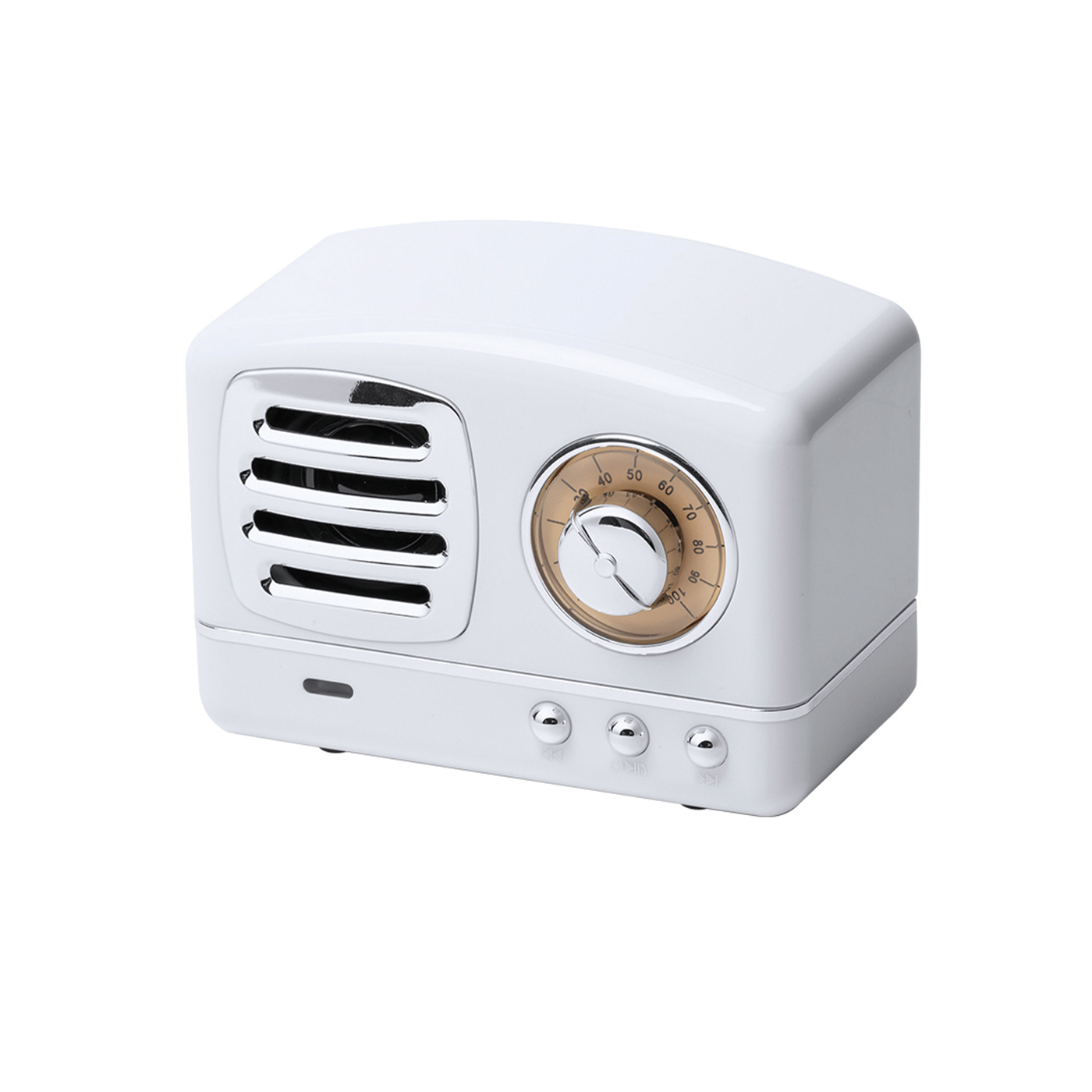 Bluetooth Hoparlör ve FM Radyo