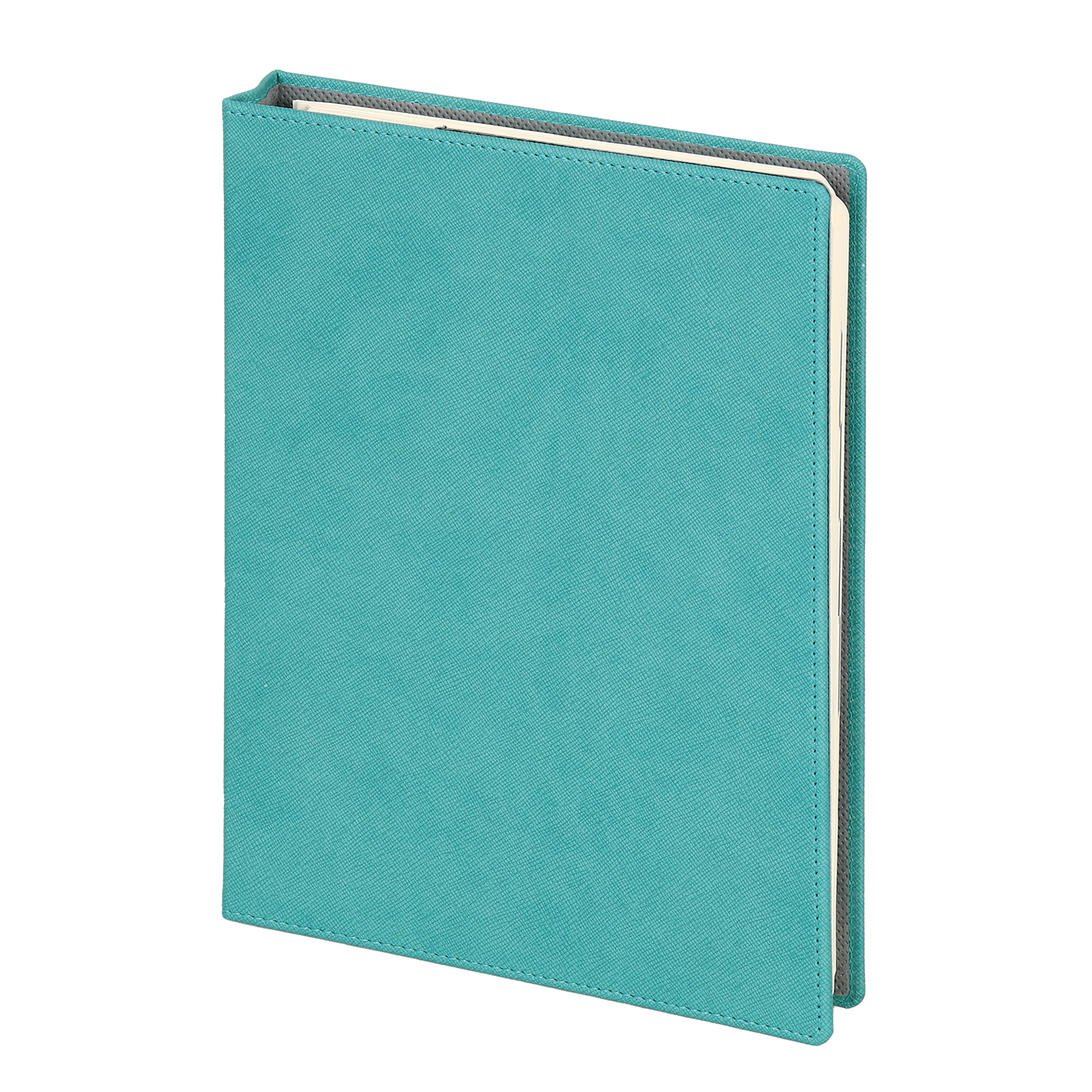 Gizli Spiralli Günlük Ajanda