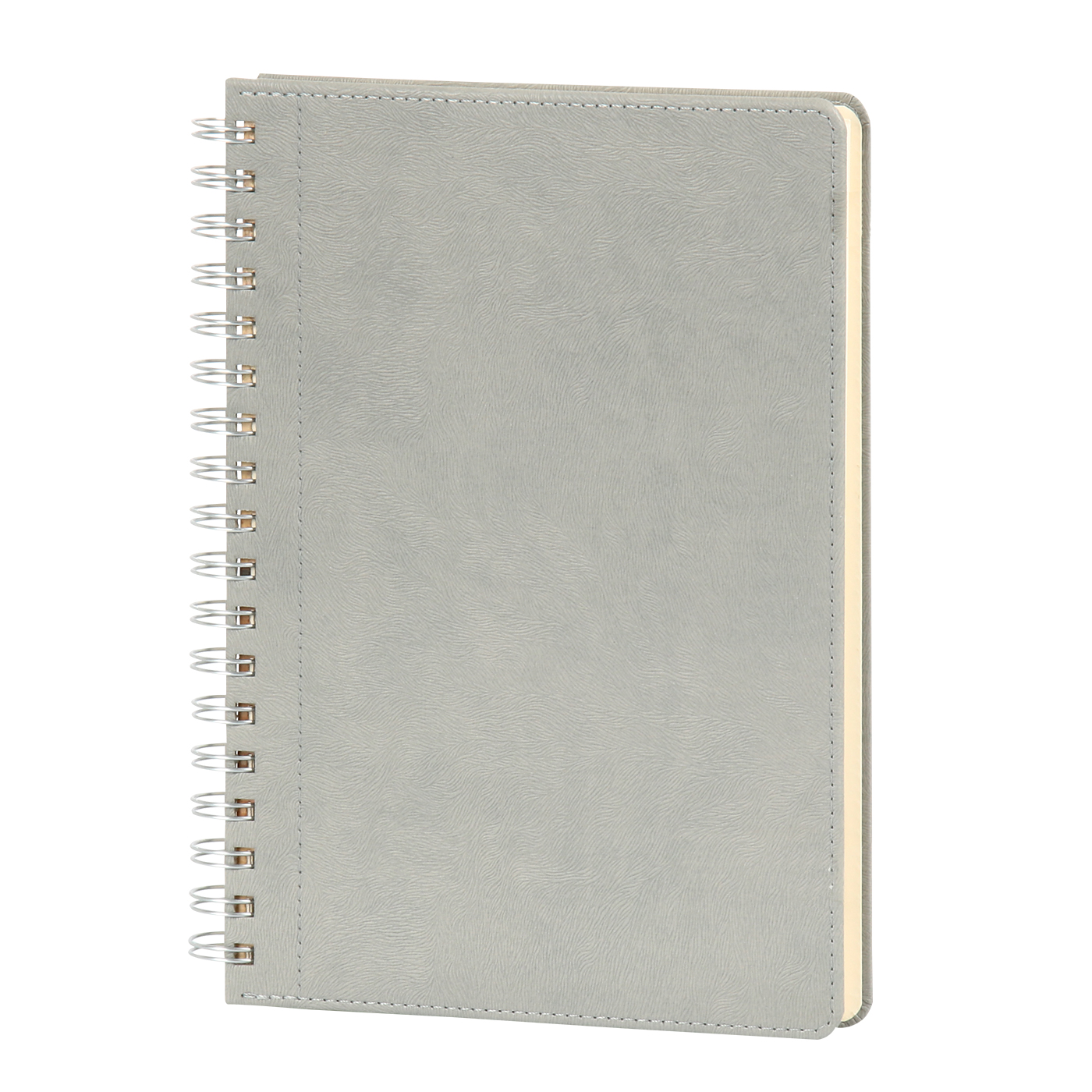 Spiralli Günlük Ajanda