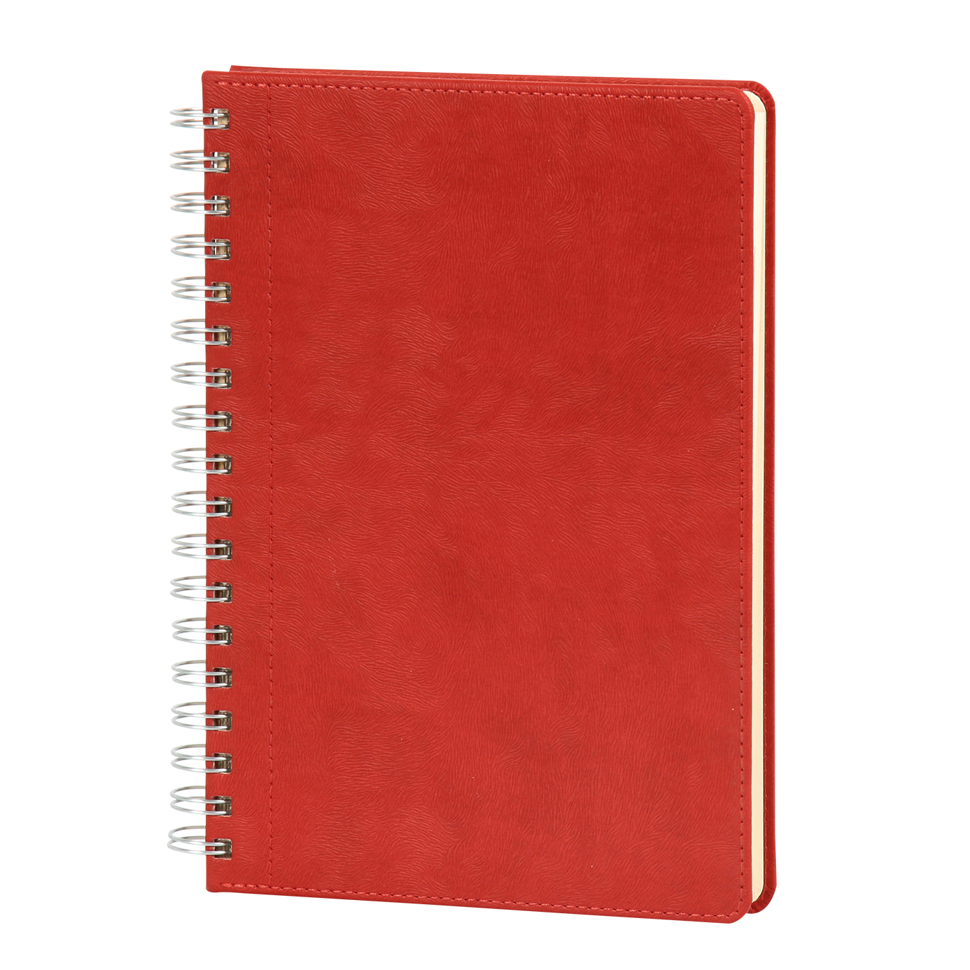 Spiralli Günlük Ajanda