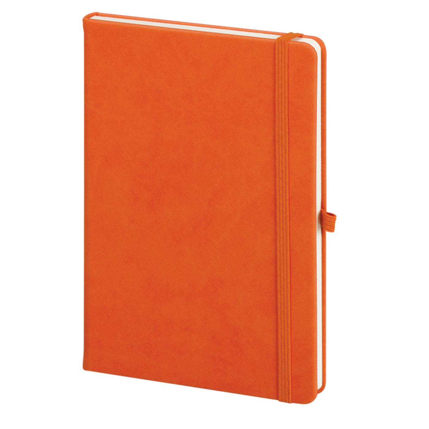 Termo Deri Tarihsiz Defter