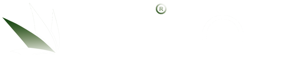 Aksiyon Promosyon Tekstil Elektrik Kırtasiye San. ve Tic. Ltd. Şti.