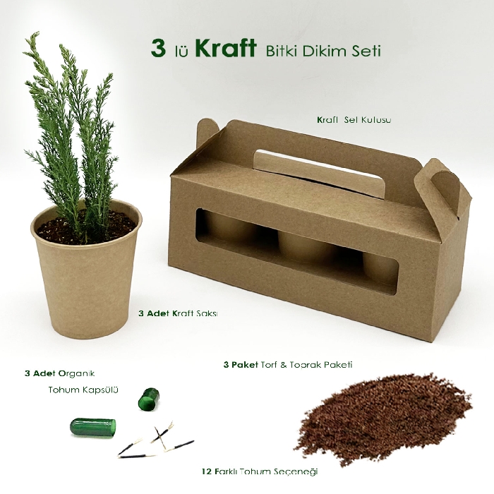 Promosyon Kraft Kutuda 3'lü Bitki Dikim Seti
