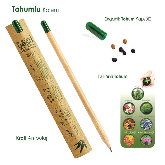 Tohumlu Kalem