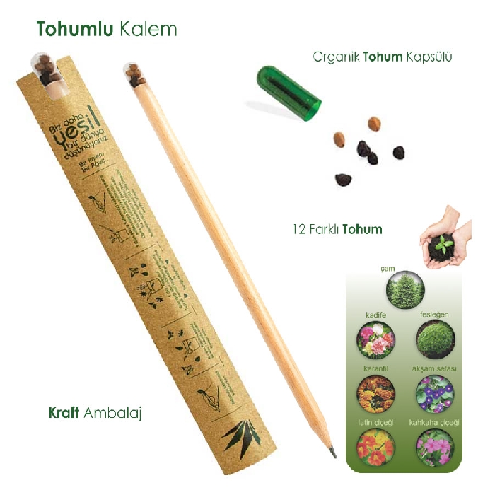 Tohumlu Kalem