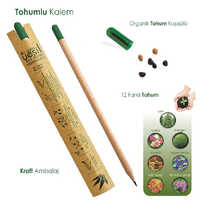 Tohumlu Kalem