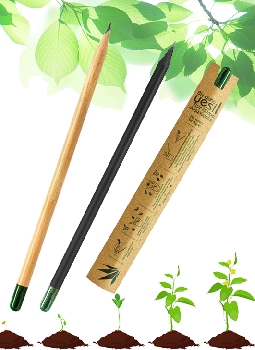 TOHUMLU KALEM MODELLERİ