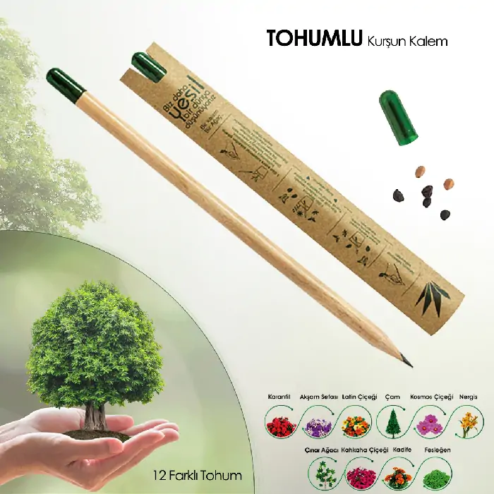Çam Ağacı Tohumlu Kurşun Kalem