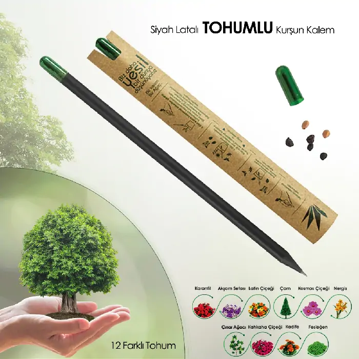 Domates Tohumlu Siyah Latalı Kurşun Kalem