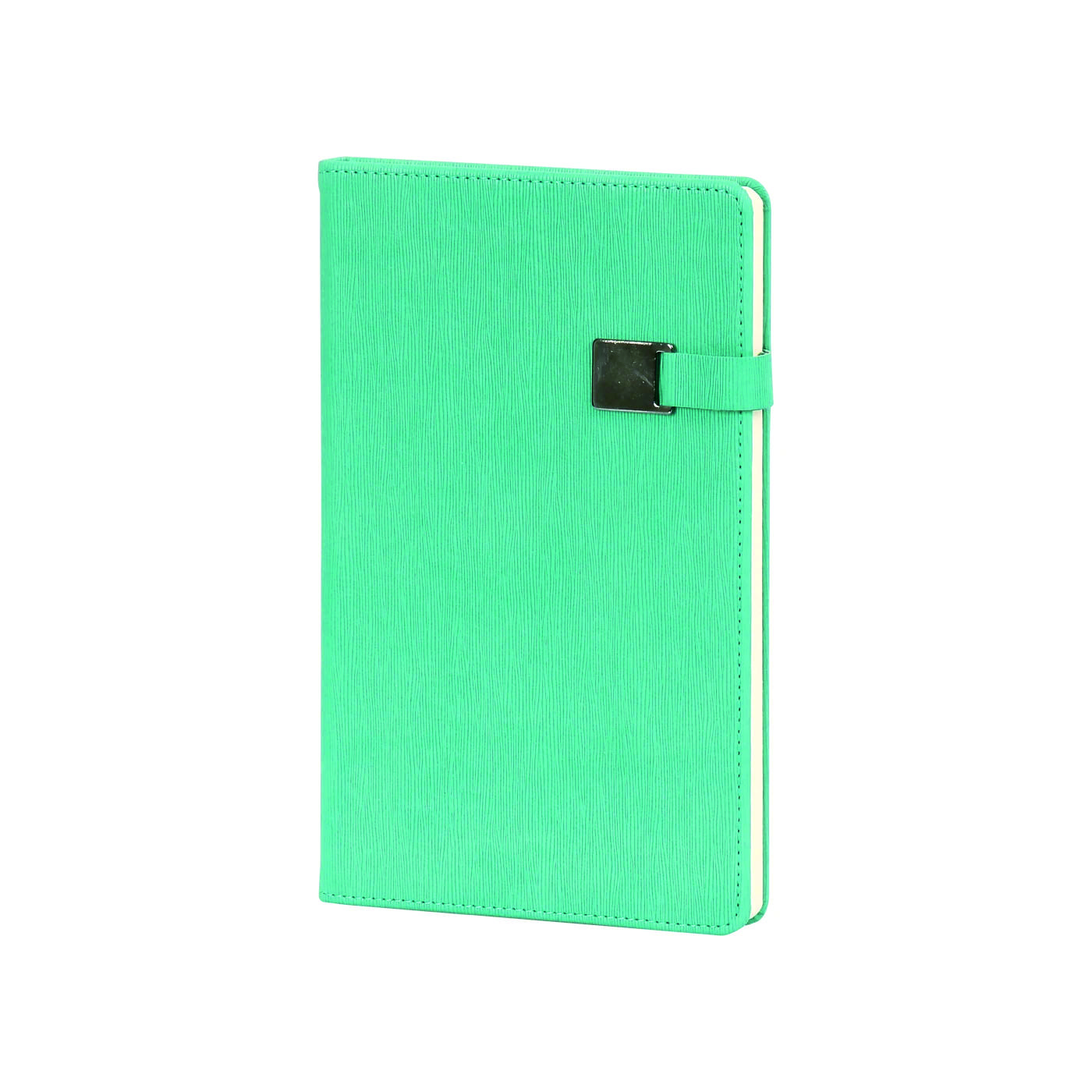 Tarihsiz Metal Toka Defter