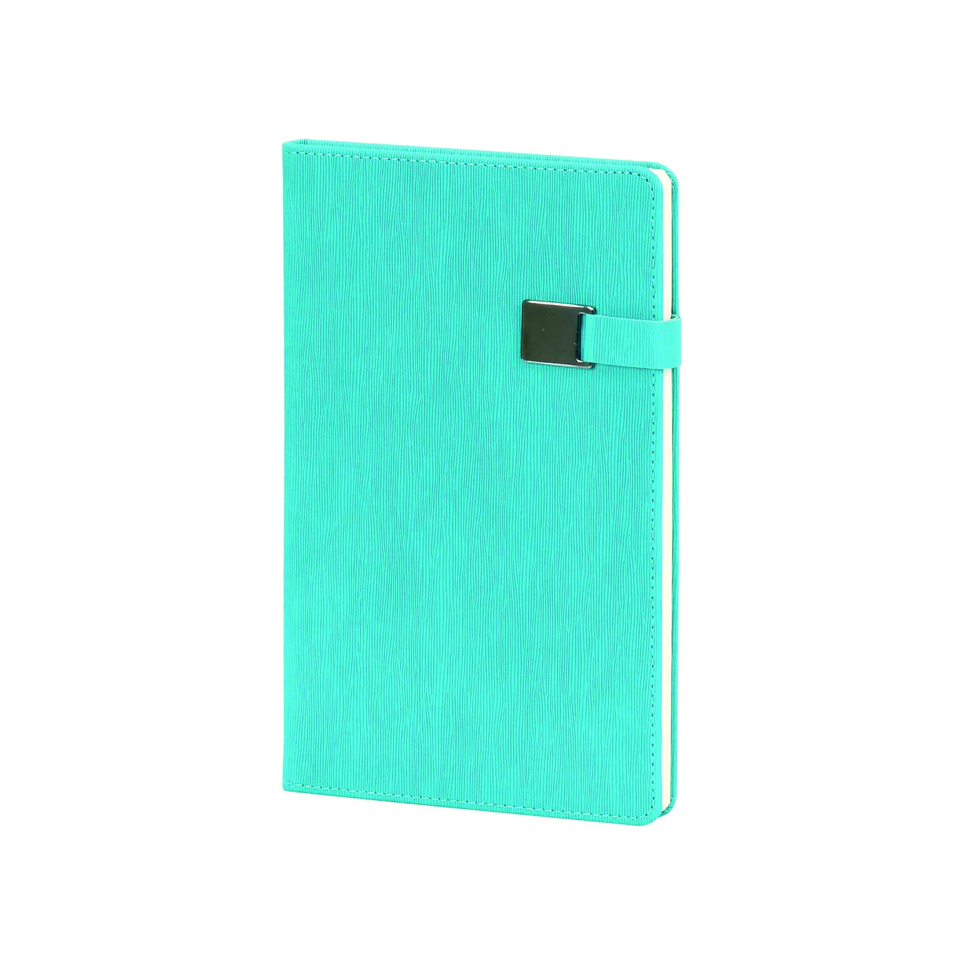 Tarihsiz Metal Toka Defter