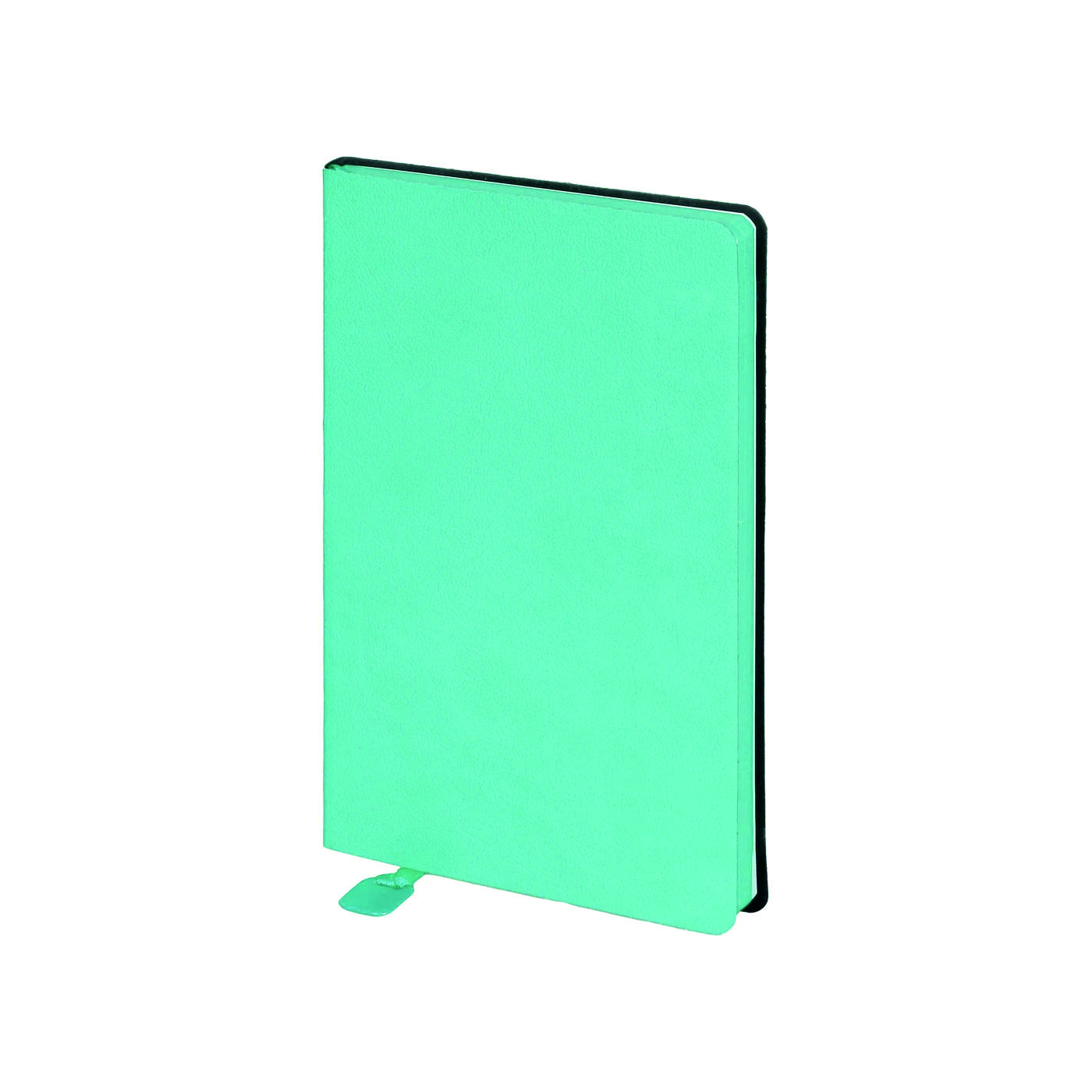 Termo Deri Tarihsiz Defter