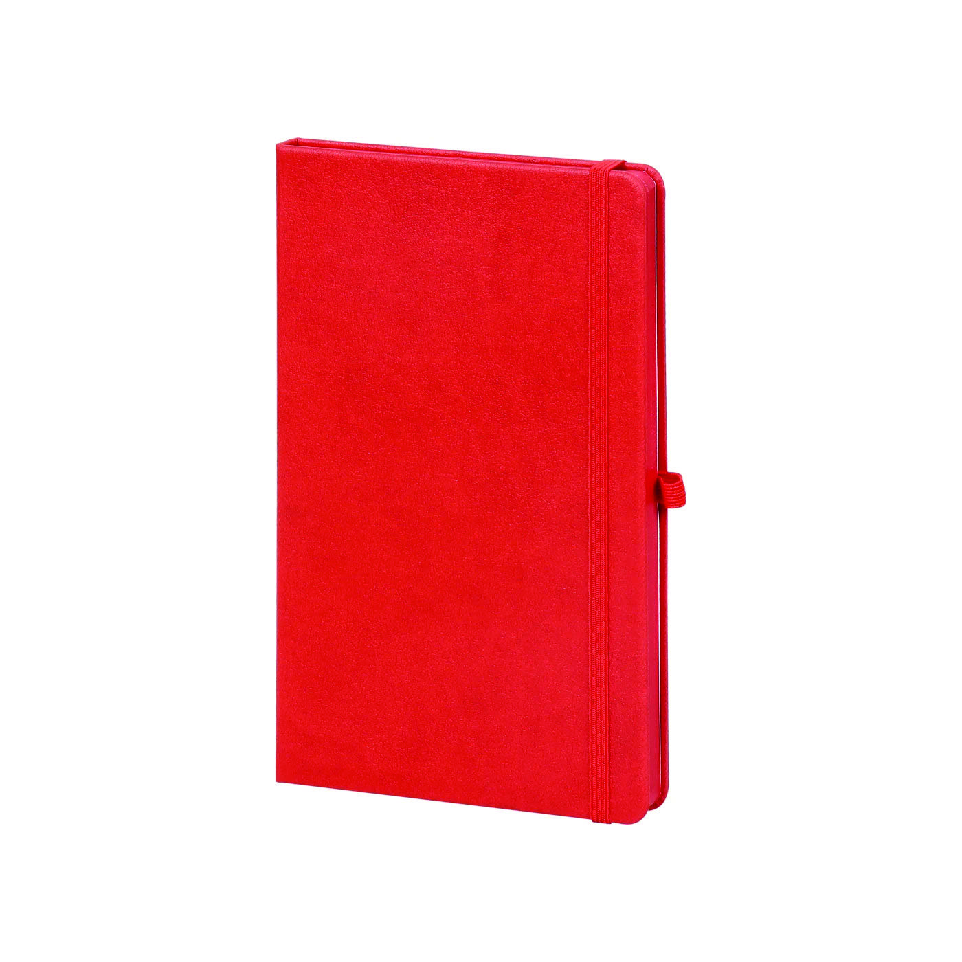 Renkli Tarihsiz Promosyon Defter