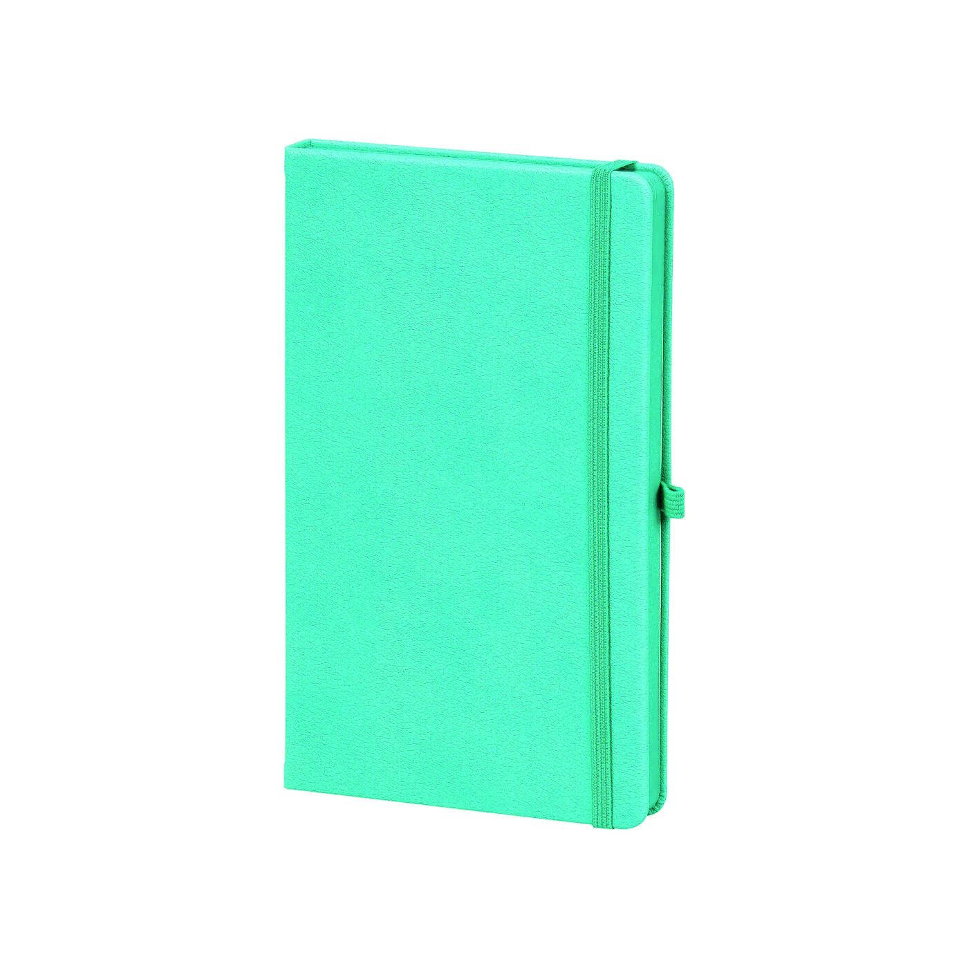 Renkli Tarihsiz Promosyon Defter