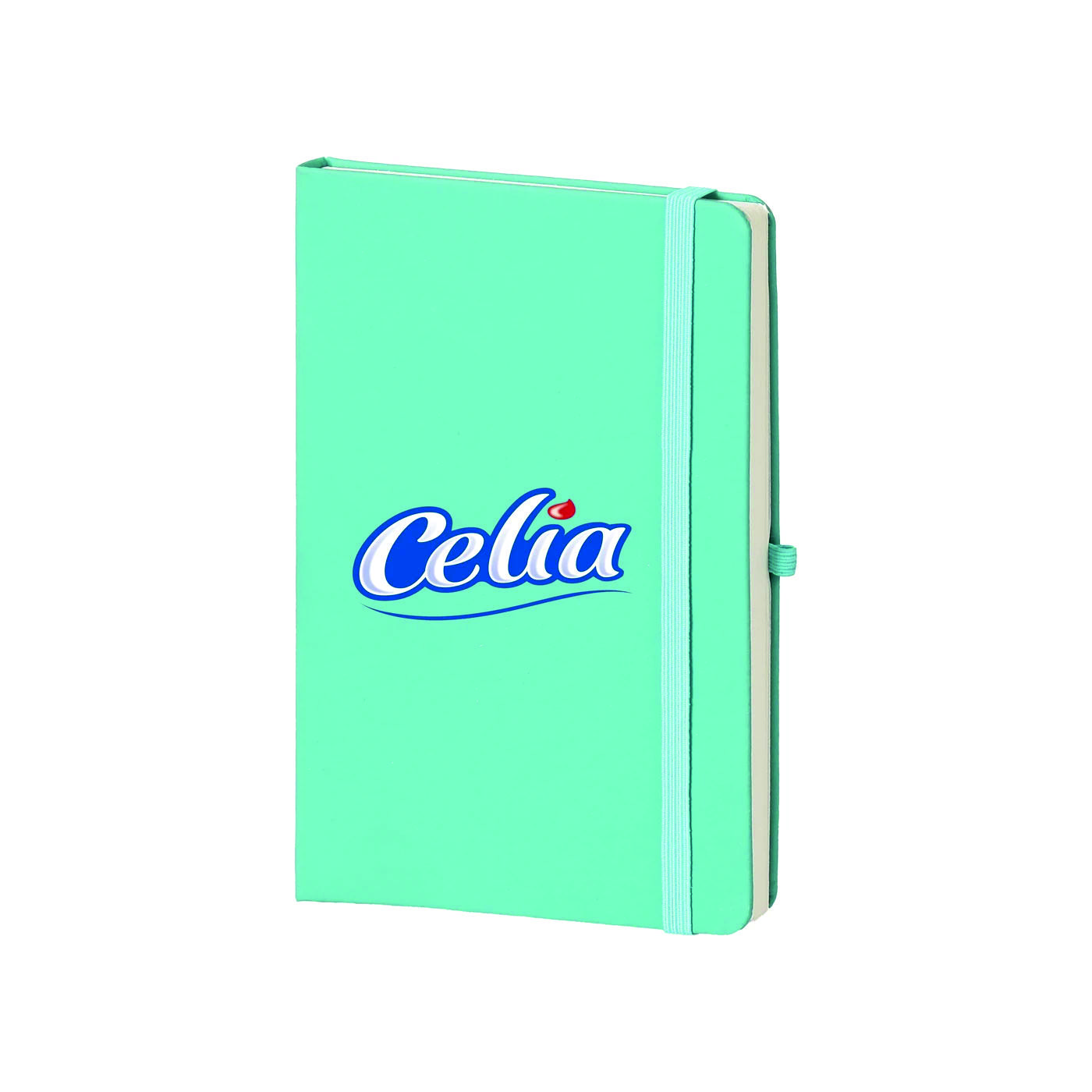 Tarihsiz Ucuz 13x21 Defter