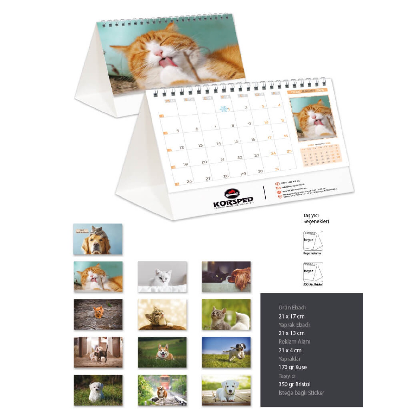 Evcil Hayvan Fotoğrafları ile Masa Takvimi