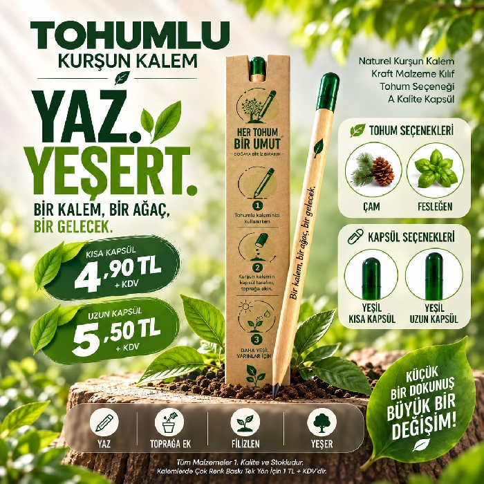 Çam Ağacı Tohumlu Kurşun Kalem